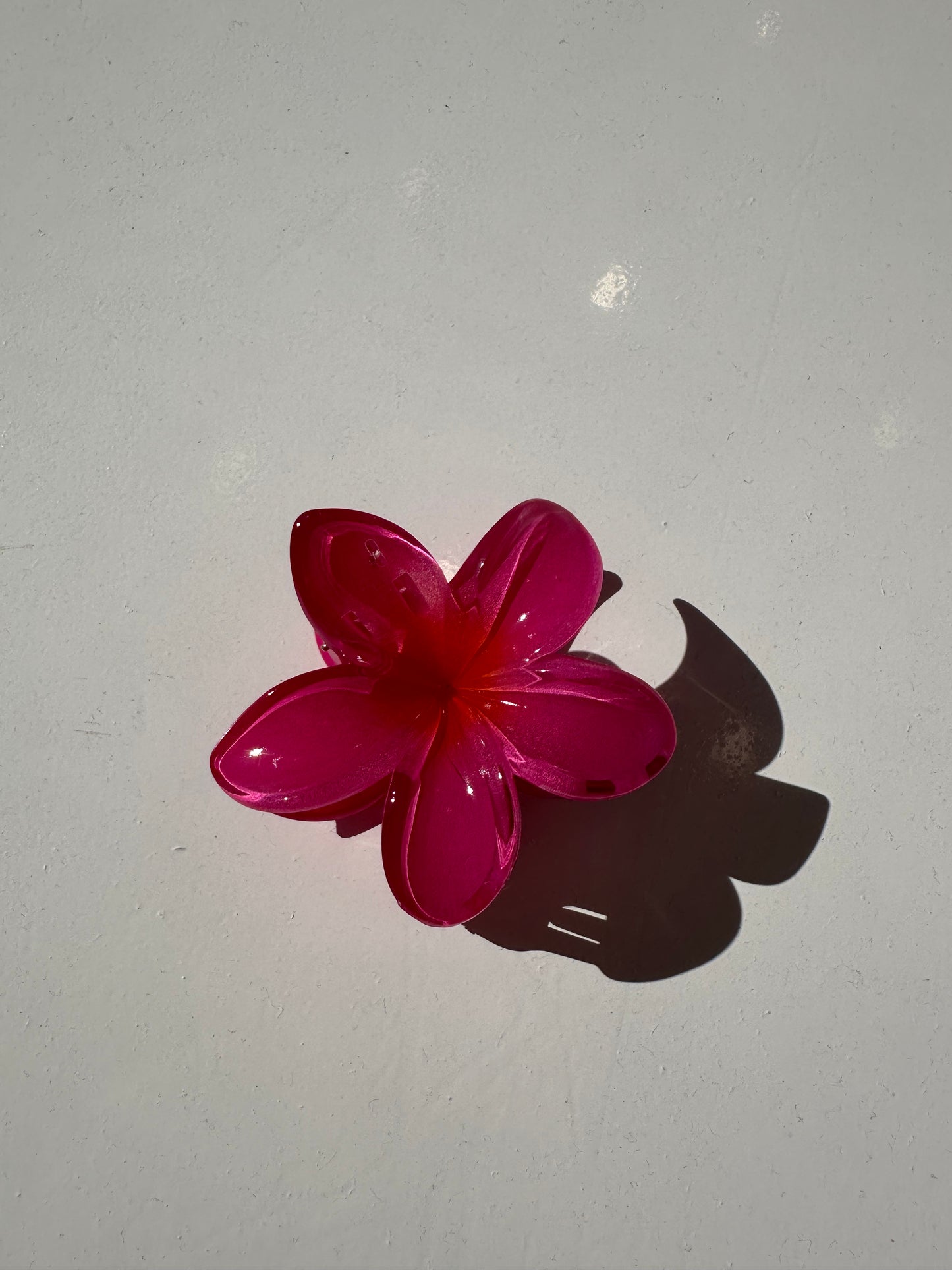 Pinza hawaina