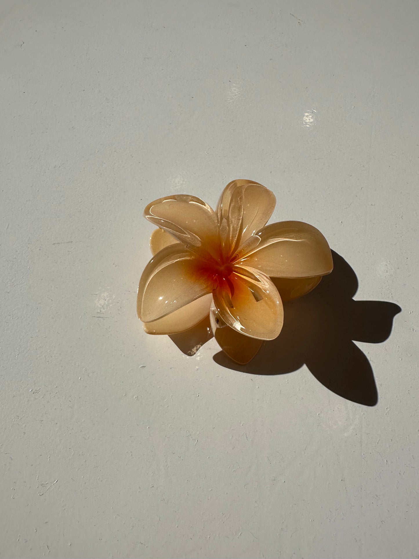 Pinza hawaina