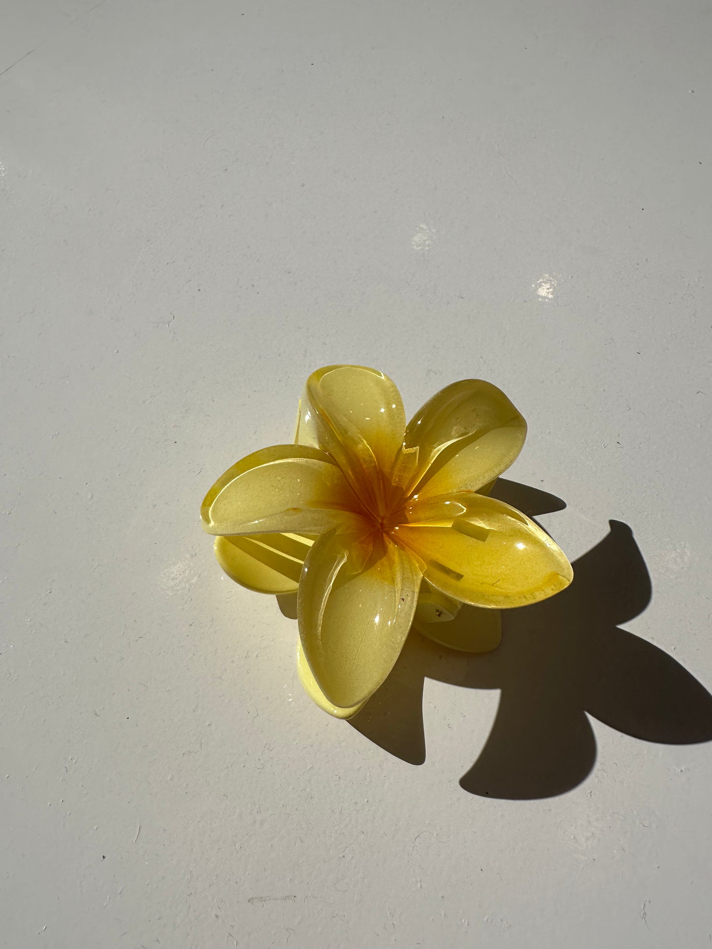 Pinza hawaina
